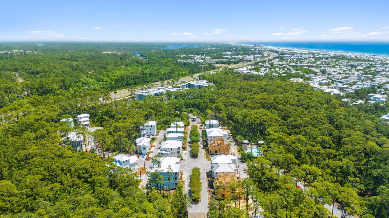 Photo of Outdoor in Treetop