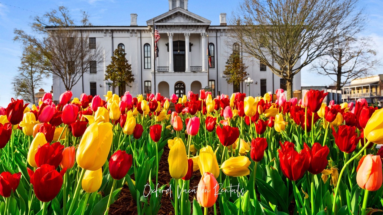 Photo of Outdoor in Oxford