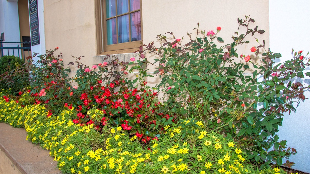 Photo of Outdoor in Oxford
