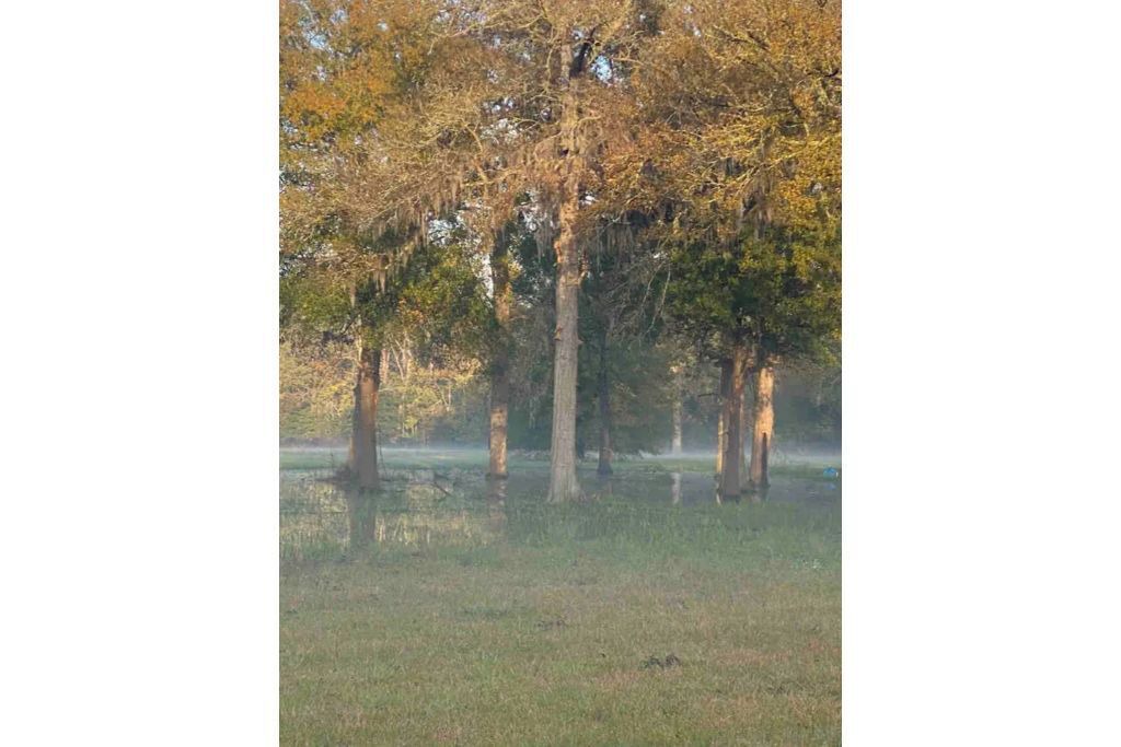Photo of Outdoor in Start