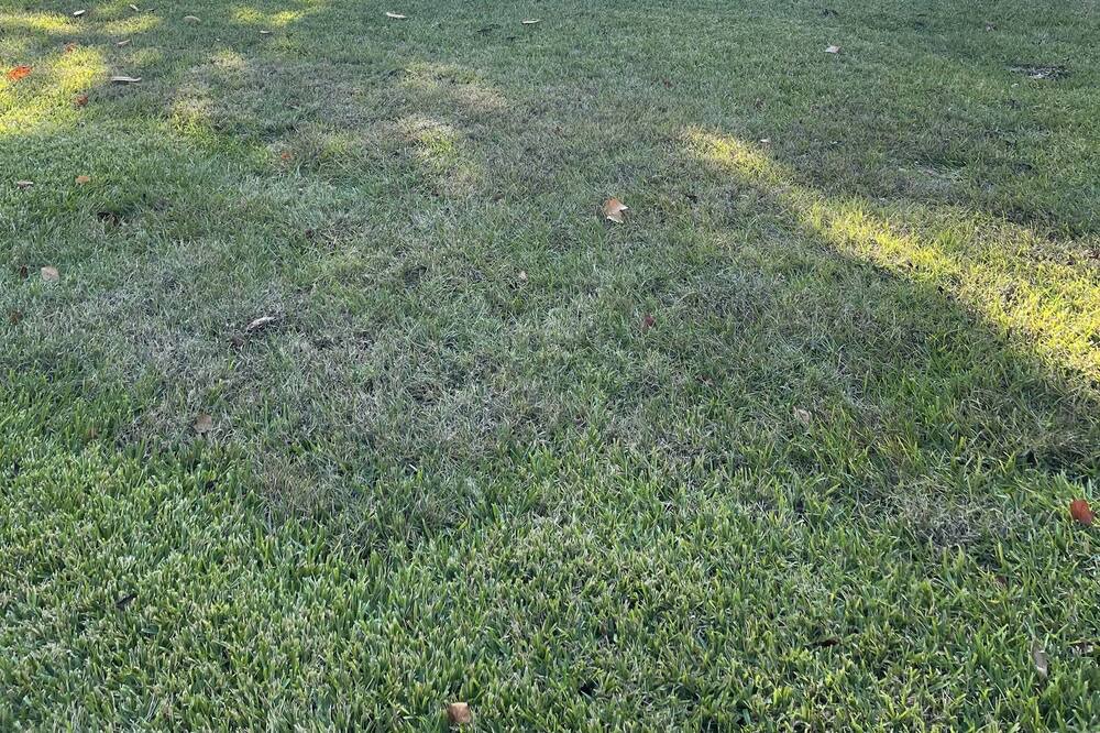 Photo of Outdoor in Marshall