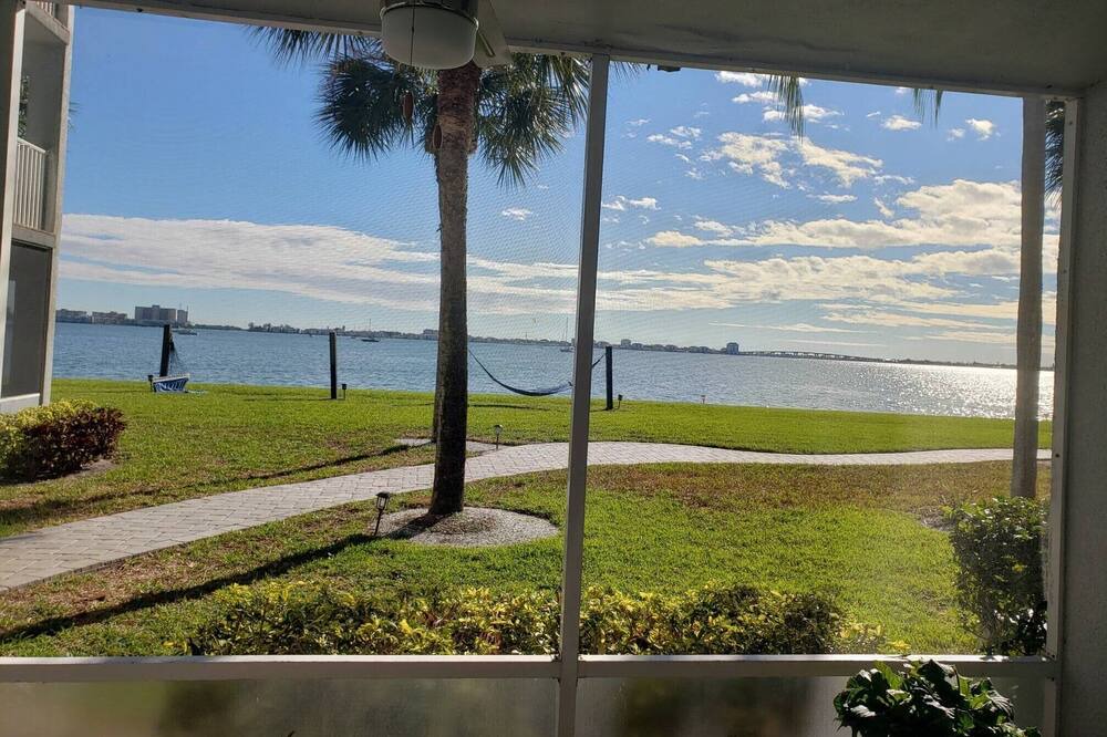 Photo of Outdoor in St. Petersburg - Clearwater
