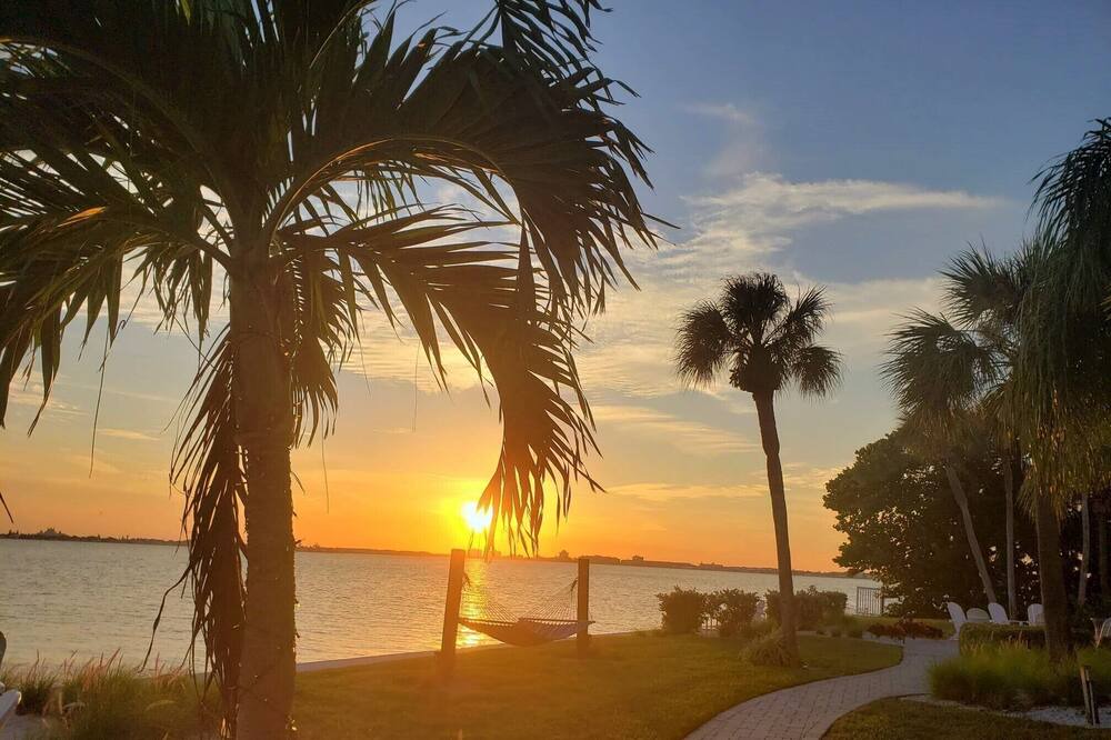 Photo of Outdoor in St. Petersburg - Clearwater