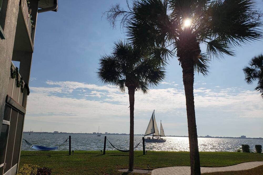 Photo of Outdoor in St. Petersburg - Clearwater