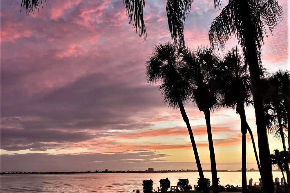 Photo of Others in St. Petersburg - Clearwater