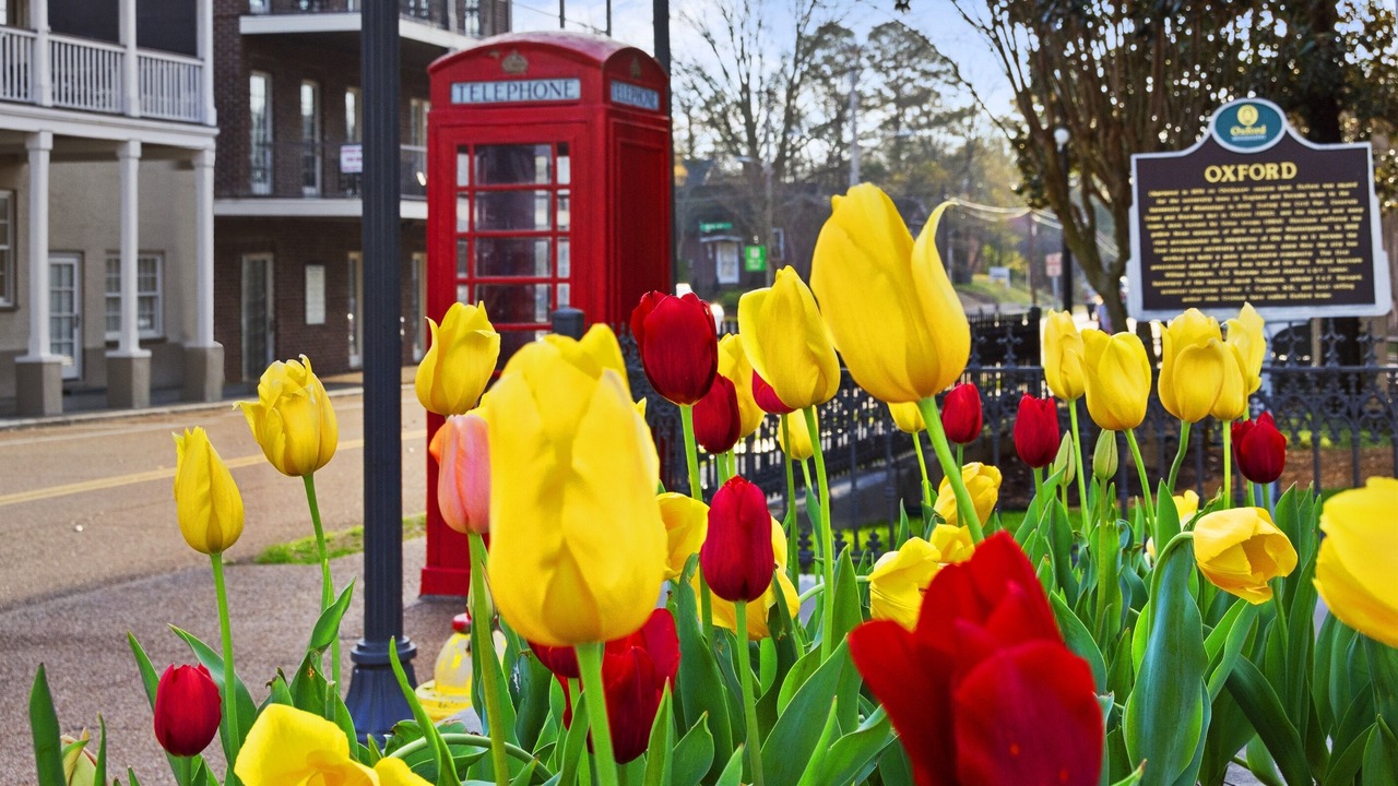 Photo of Outdoor in Oxford