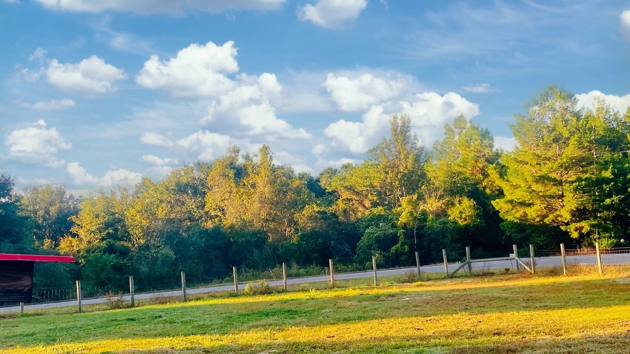 Photo of Outdoor in Harold