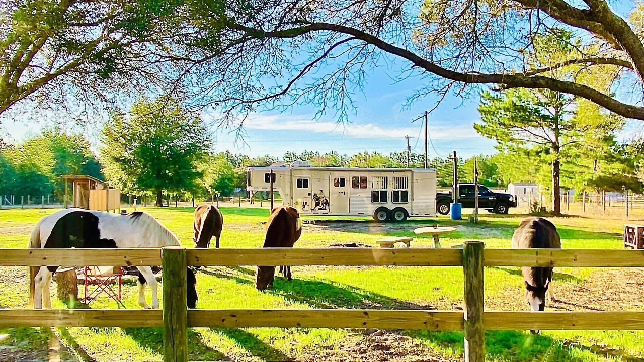 Photo of Outdoor in Harold