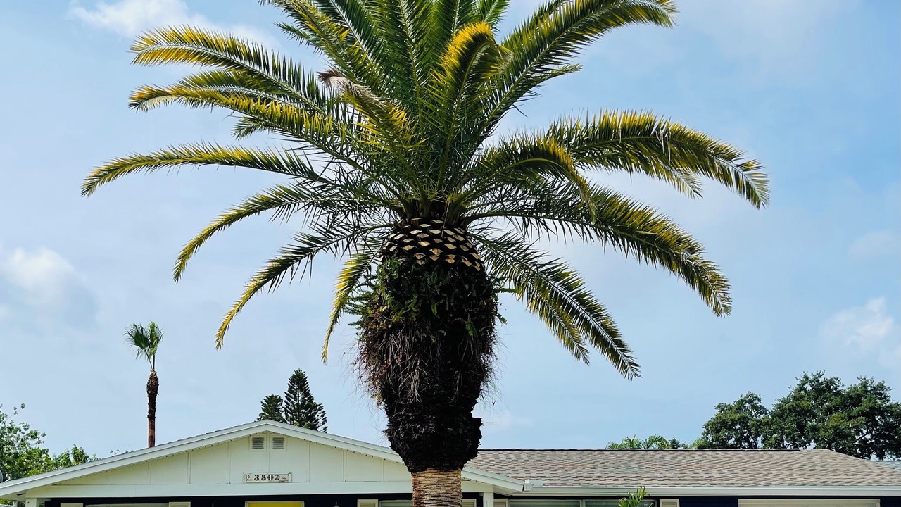 Photo of Outdoor in Holiday