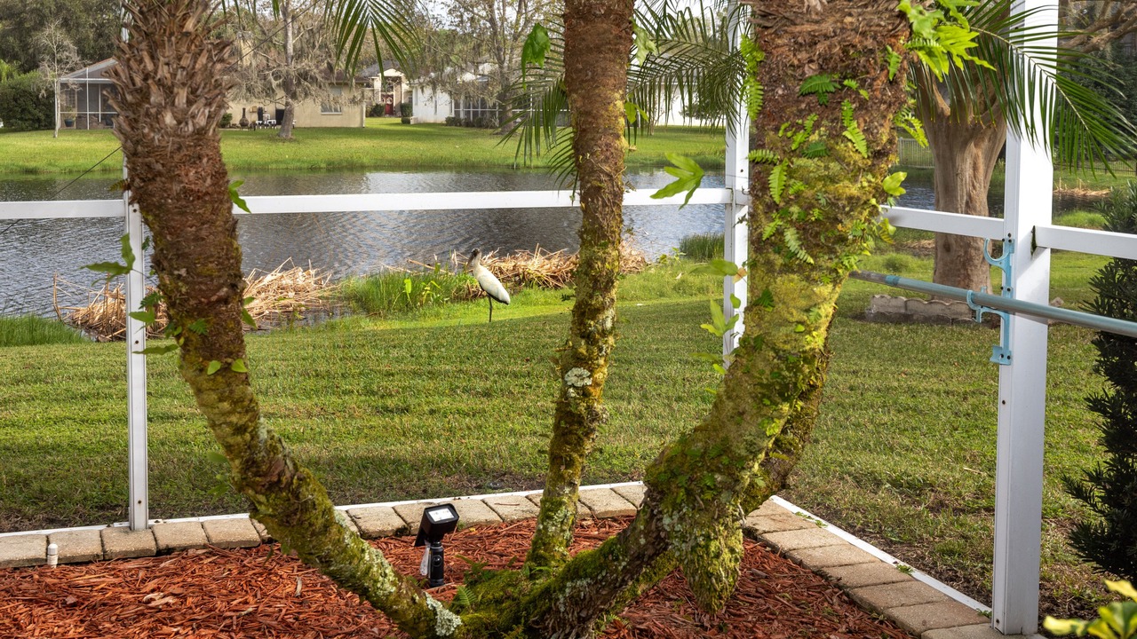 Photo of Outdoor in Palm Harbor