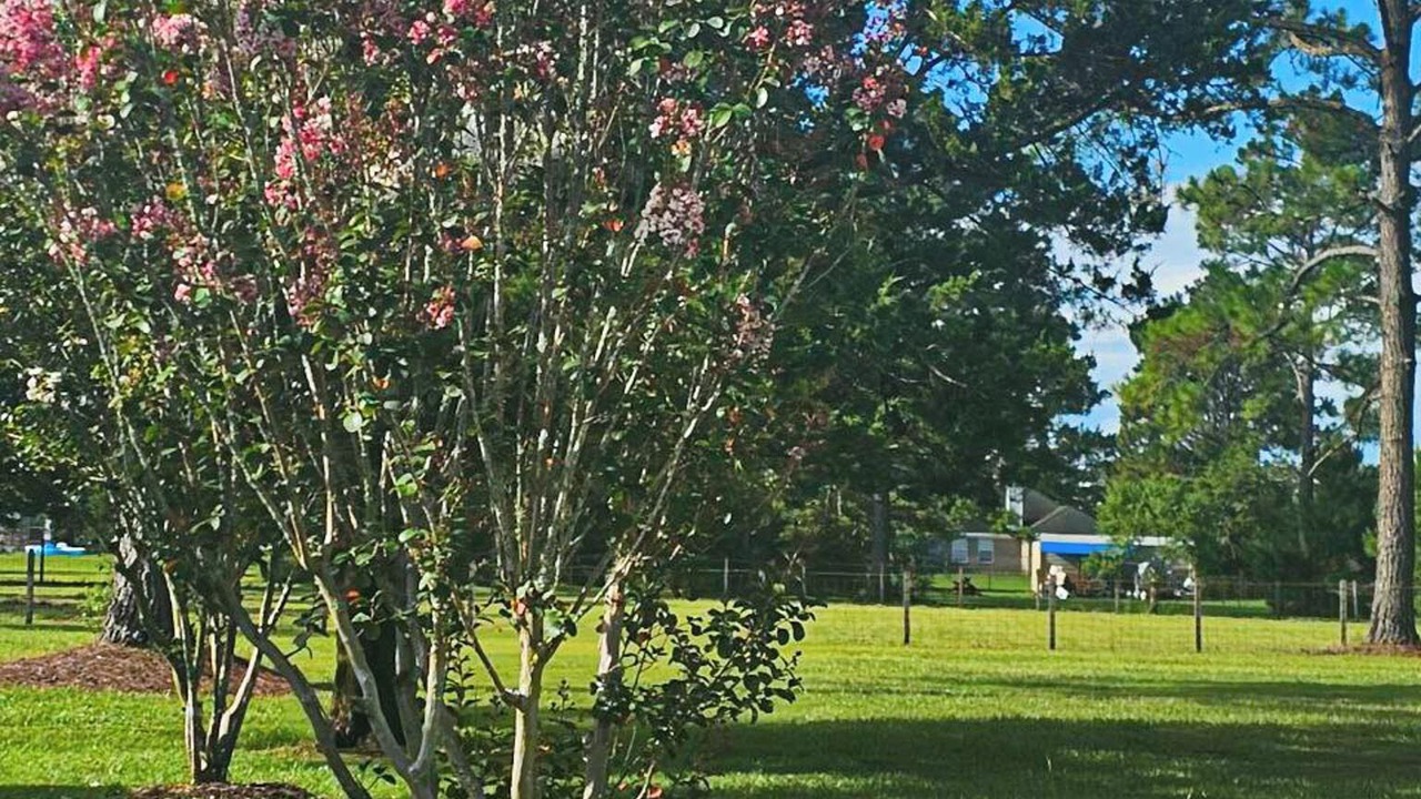 Photo of Outdoor in Fairhope