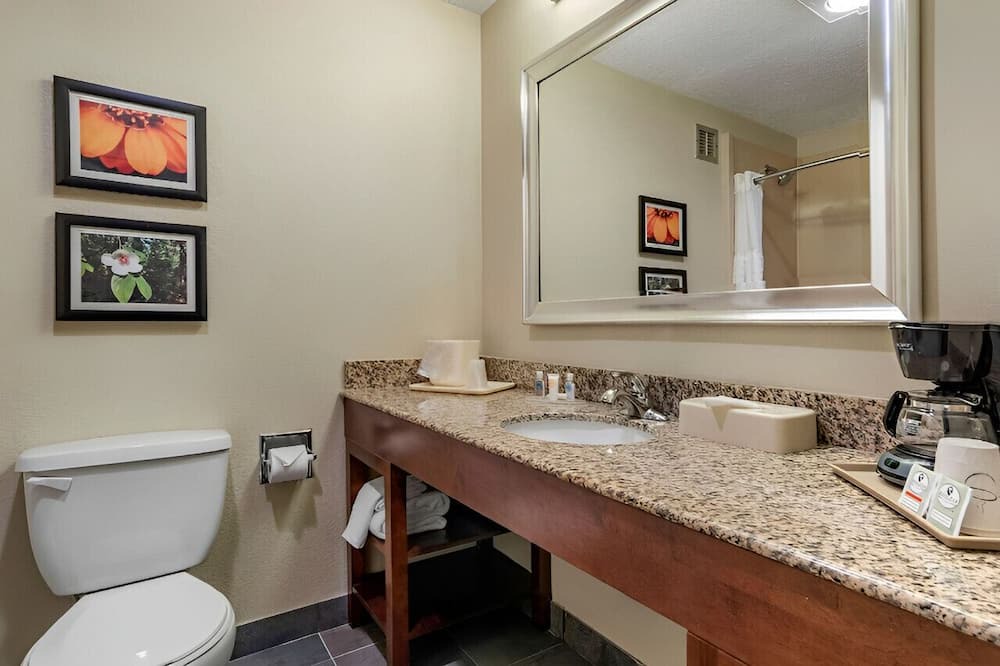 Photo of Bathroom in Meridian