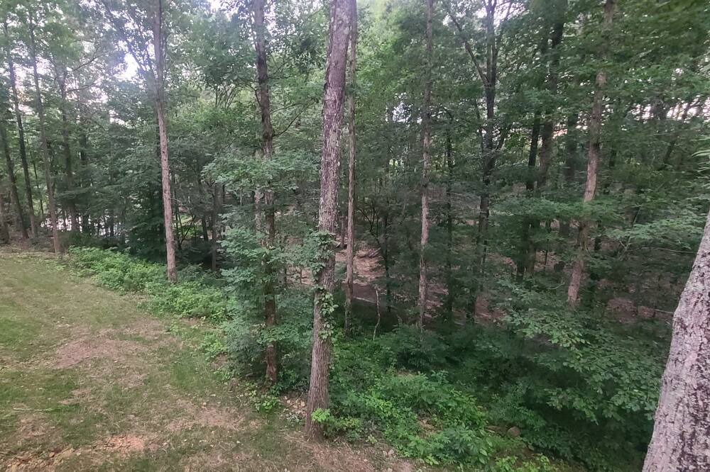 Photo of Outdoor in Crane Hill