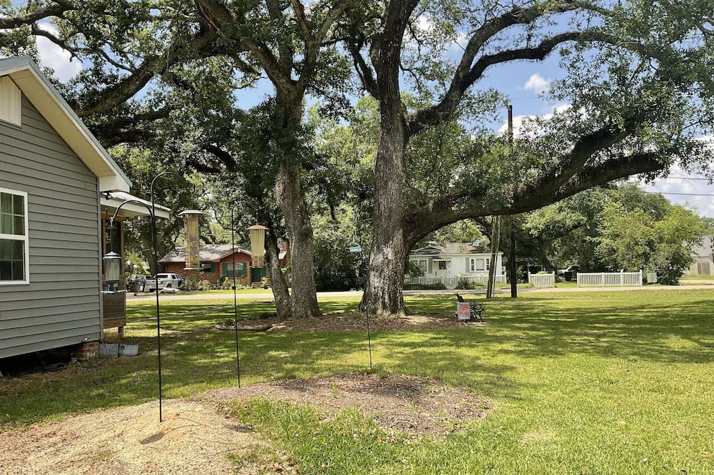 Photo of Outdoor in Ponchatoula
