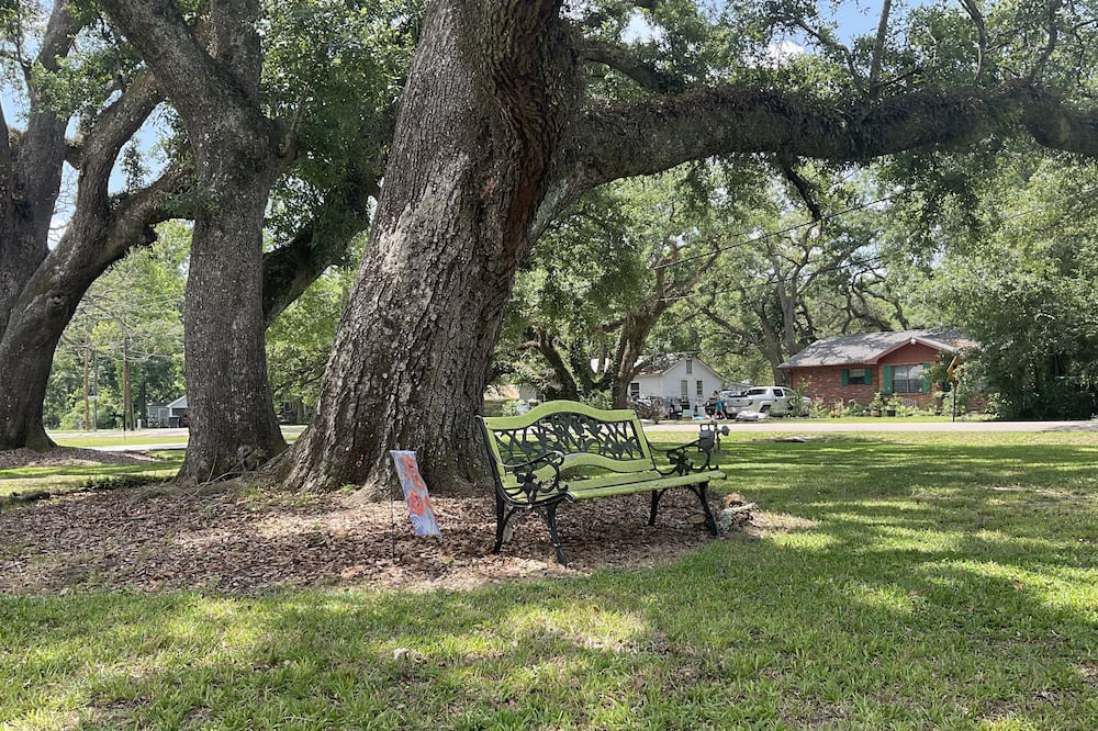 Photo of Outdoor in Ponchatoula