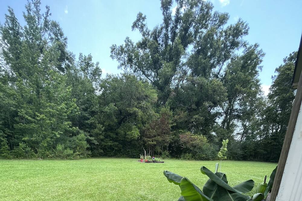 Photo of Outdoor in Robert