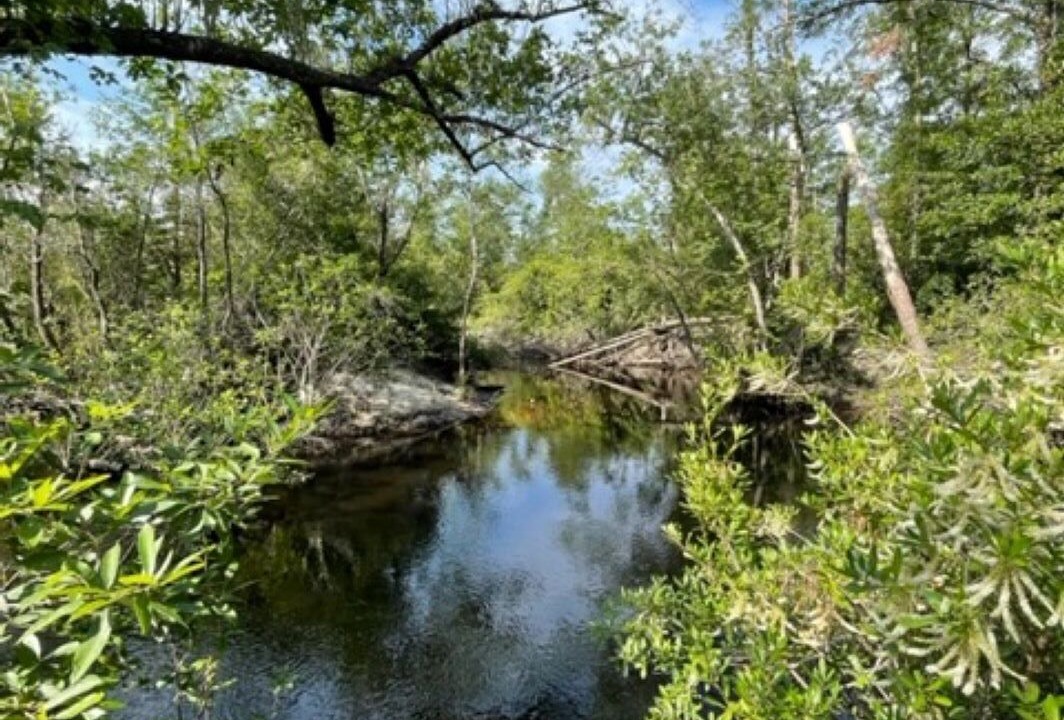 Photo of Others in Clarksville