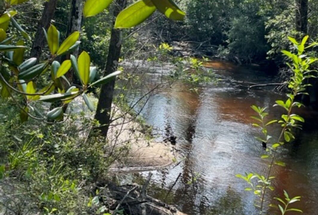 Photo of Outdoor in Clarksville