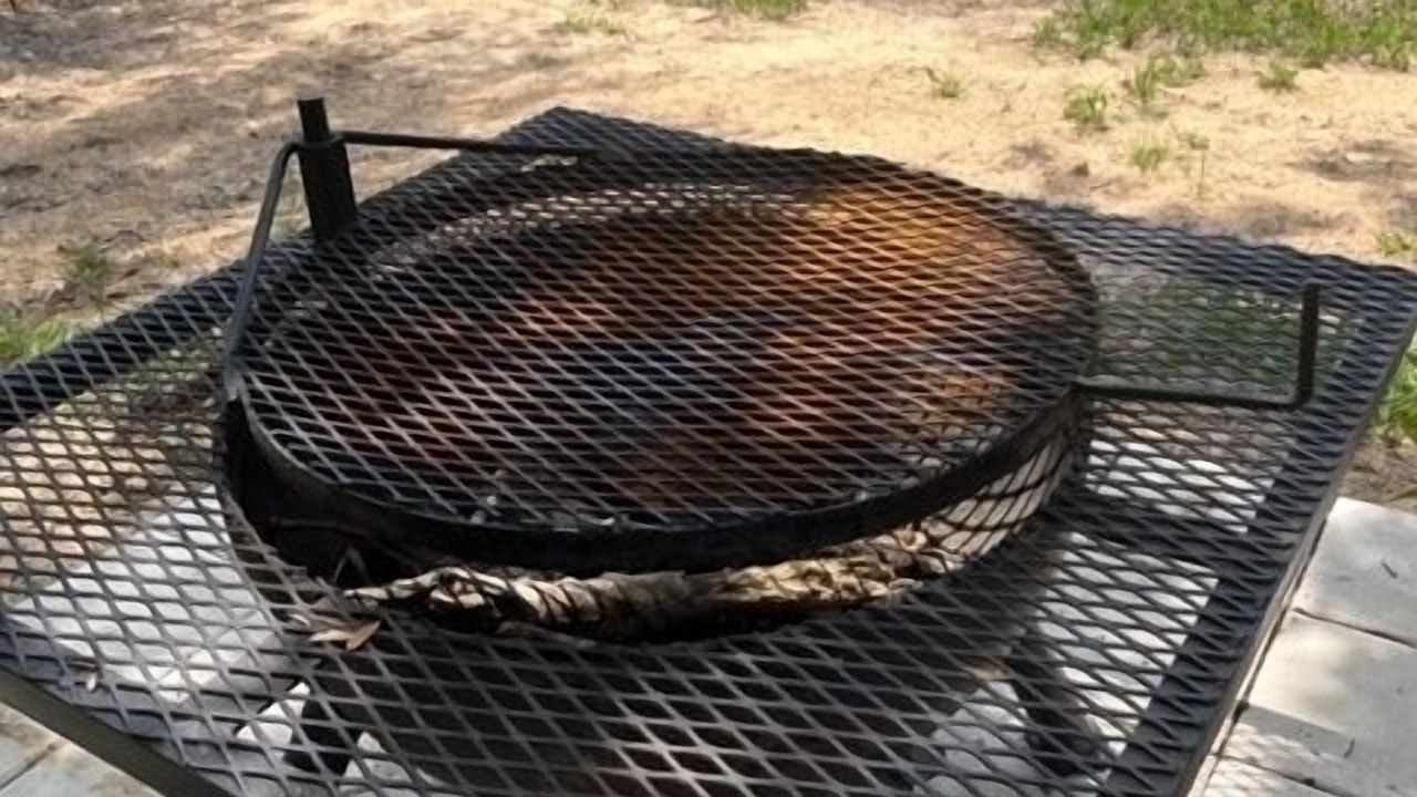 Photo of Outdoor in Clarksville