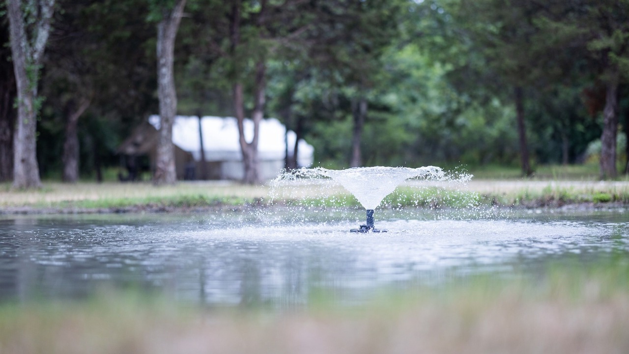 Photo of Outdoor in Irene