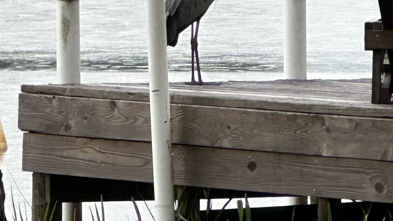 Photo of Outdoor in Florida Panhandle