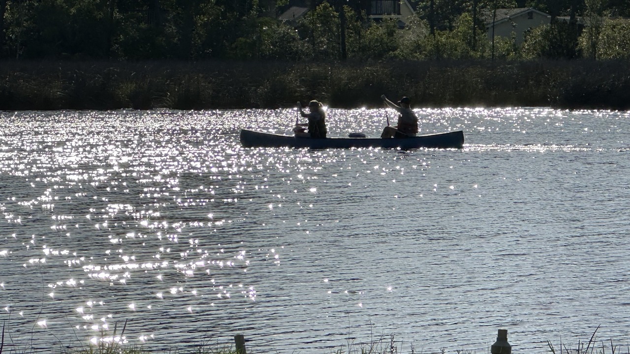 Photo of Others in Florida Panhandle