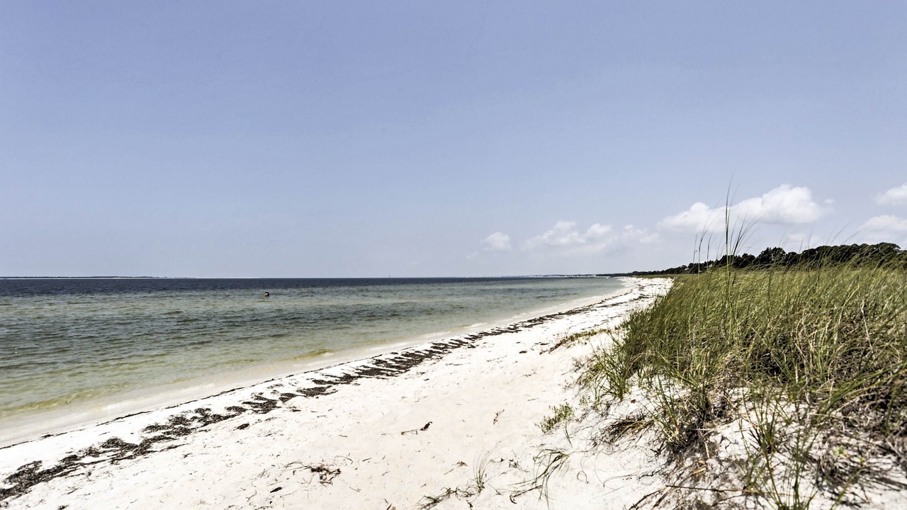 Photo of Others in Port St. Joe