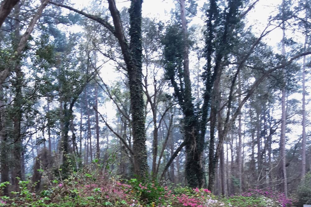 Photo of Outdoor in Tallahassee