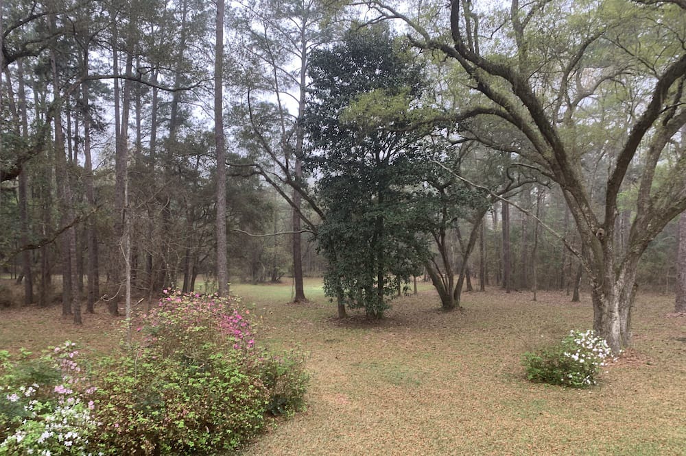 Photo of Outdoor in Tallahassee