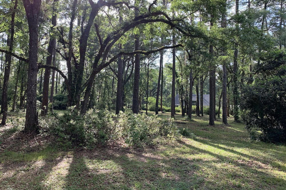 Photo of Outdoor in Tallahassee