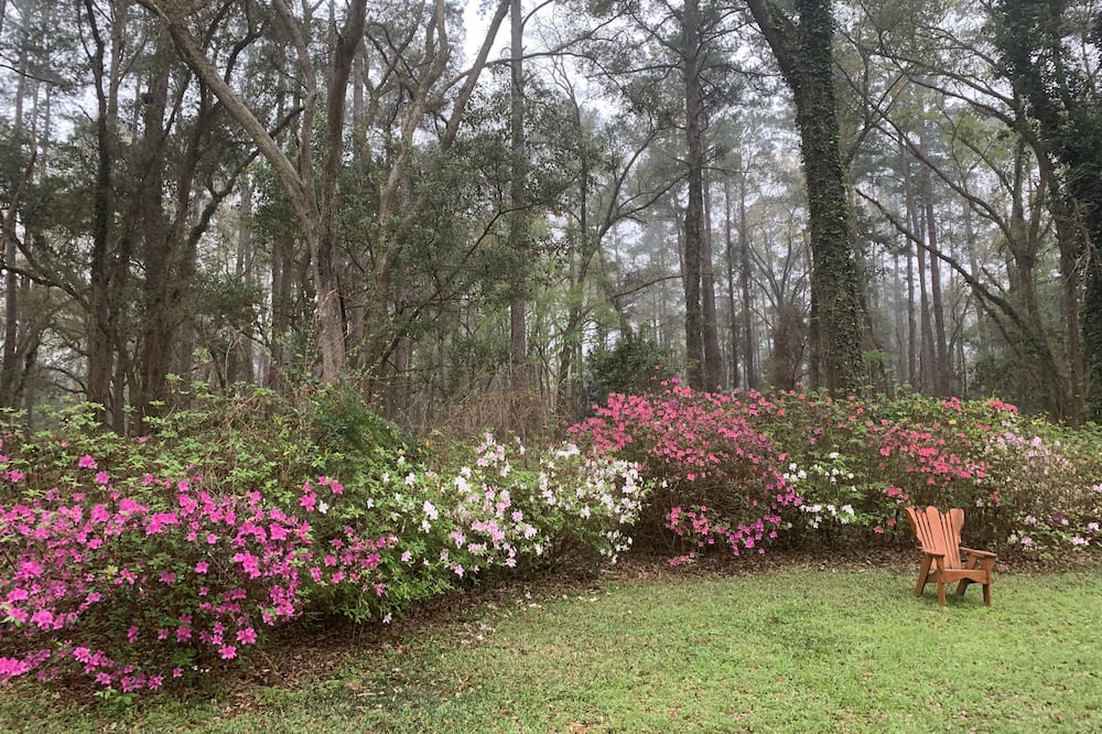 Photo of Outdoor in Tallahassee