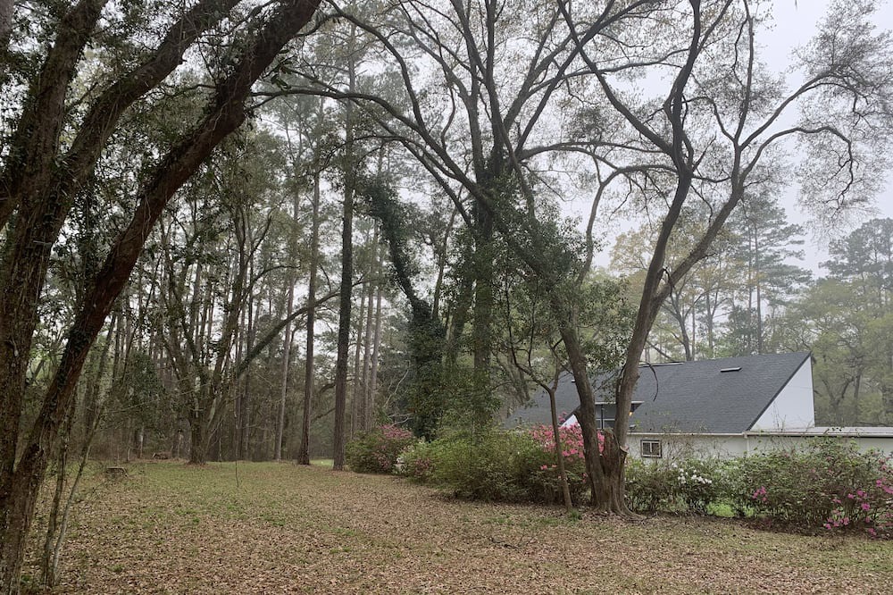 Photo of Others in Tallahassee