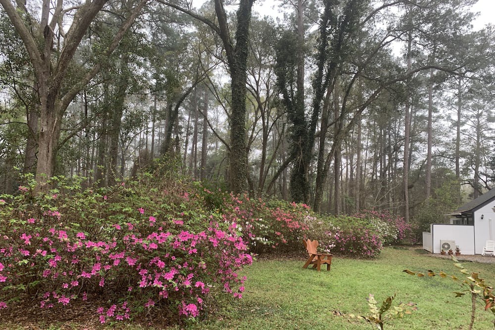 Photo of Outdoor in Tallahassee