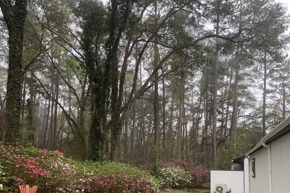 Photo of Others in Tallahassee