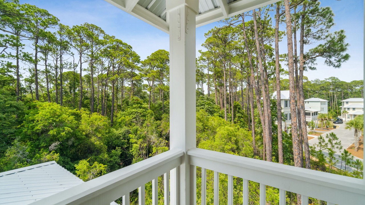 Photo of Bedroom in Treetop