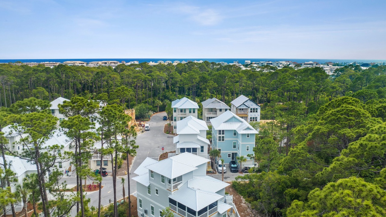 Photo of Outdoor in Treetop