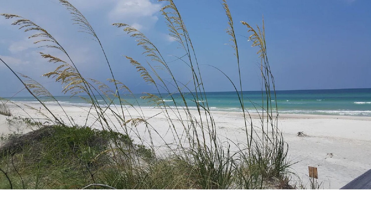Photo of Others in Gulf County