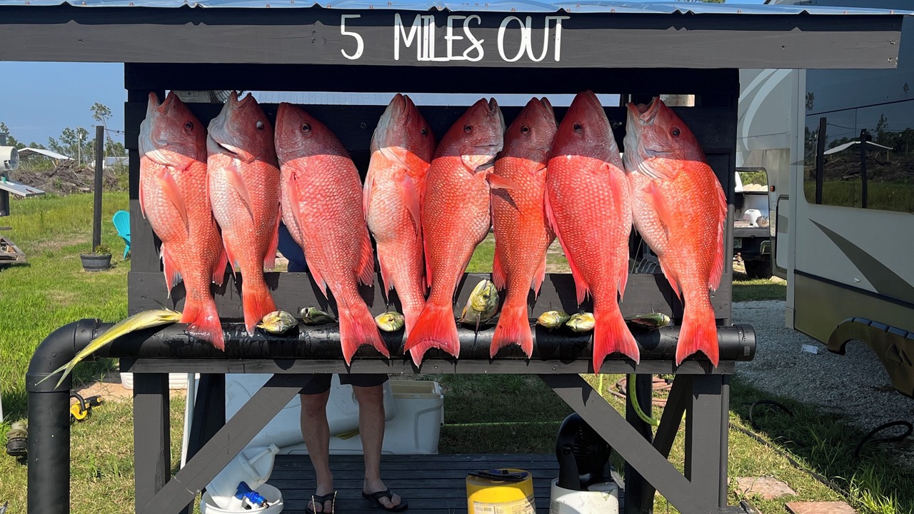 Photo of Outdoor in Gulf County