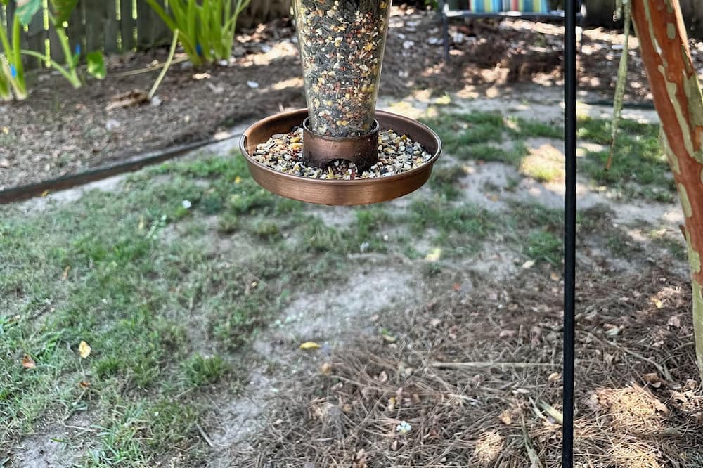 Photo of Outdoor in Frenchmans Bend