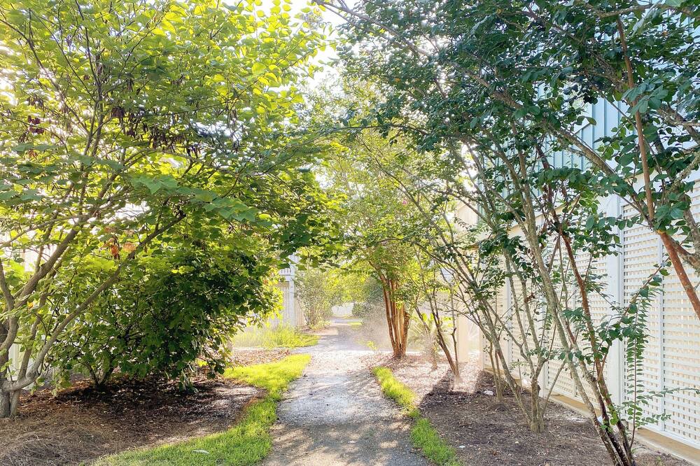 Photo of Outdoor in Pass Christian