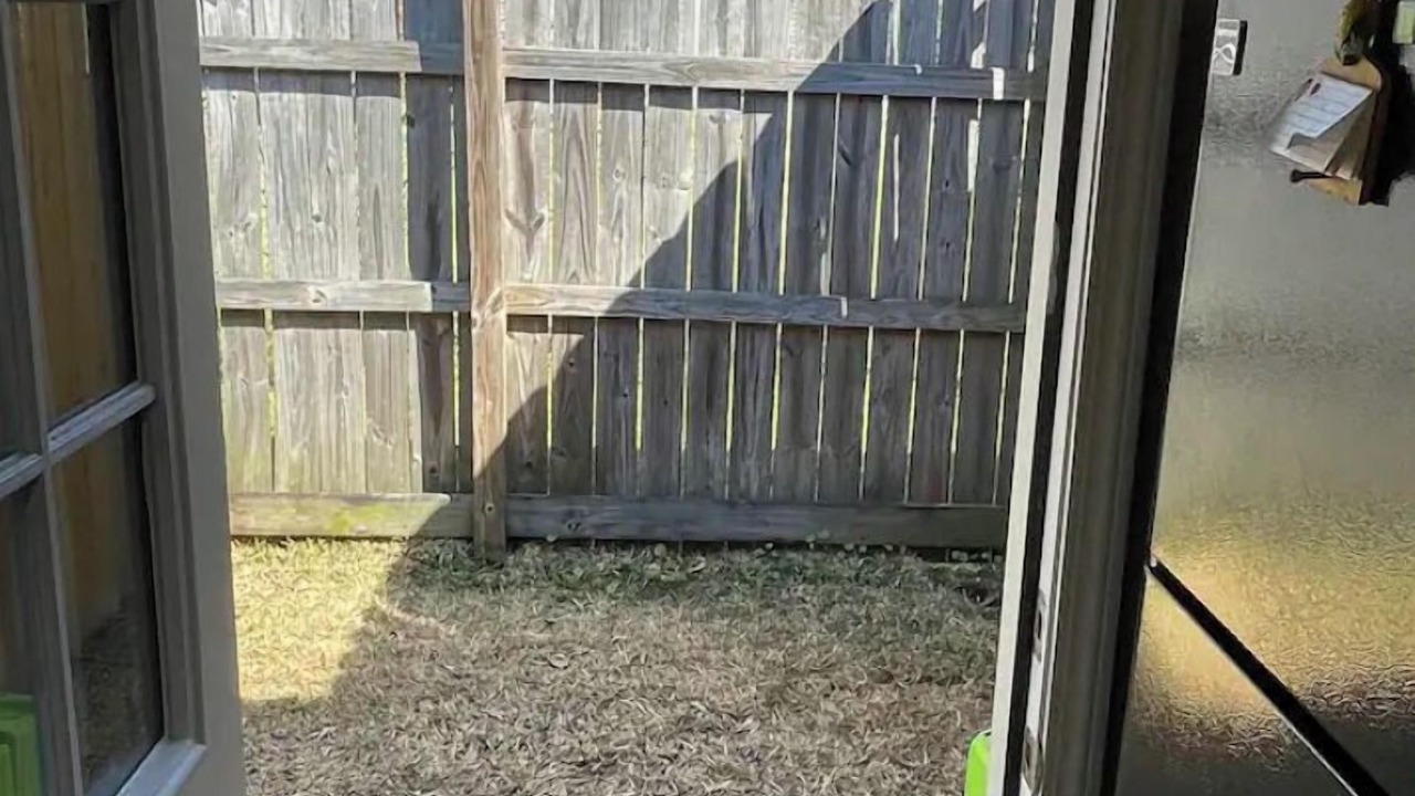 Photo of Outdoor in Shenandoah