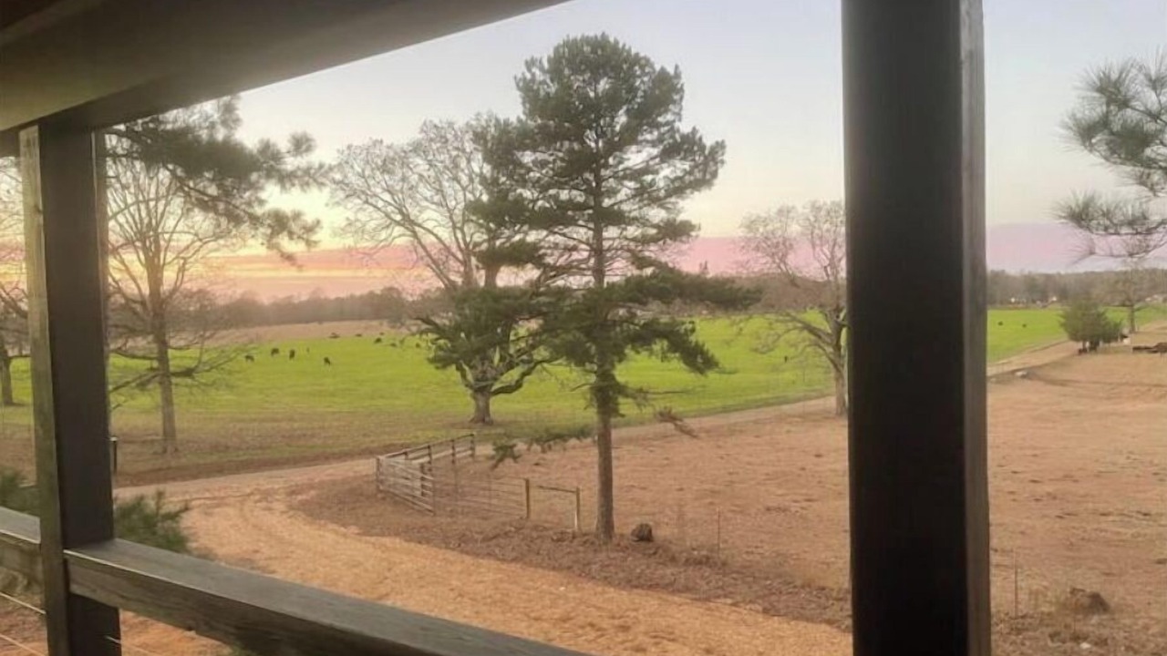 Photo of Outdoor in Magnolia