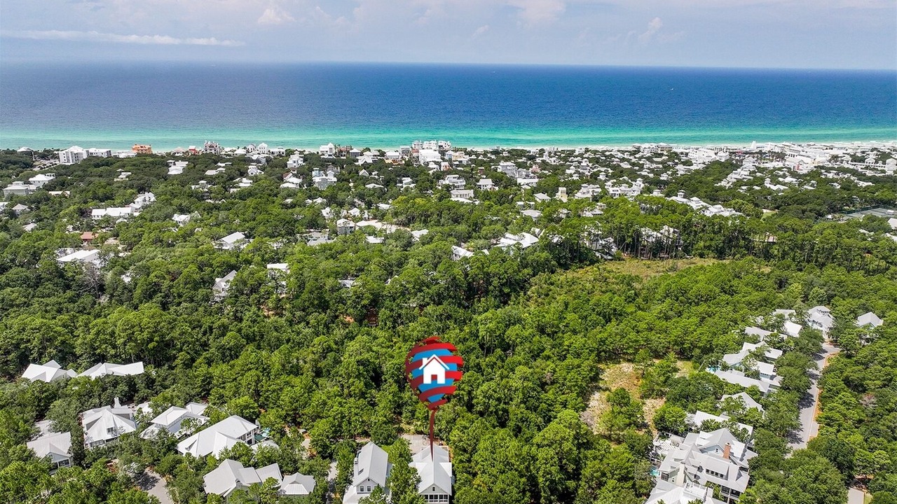 Photo of Outdoor in Forest District