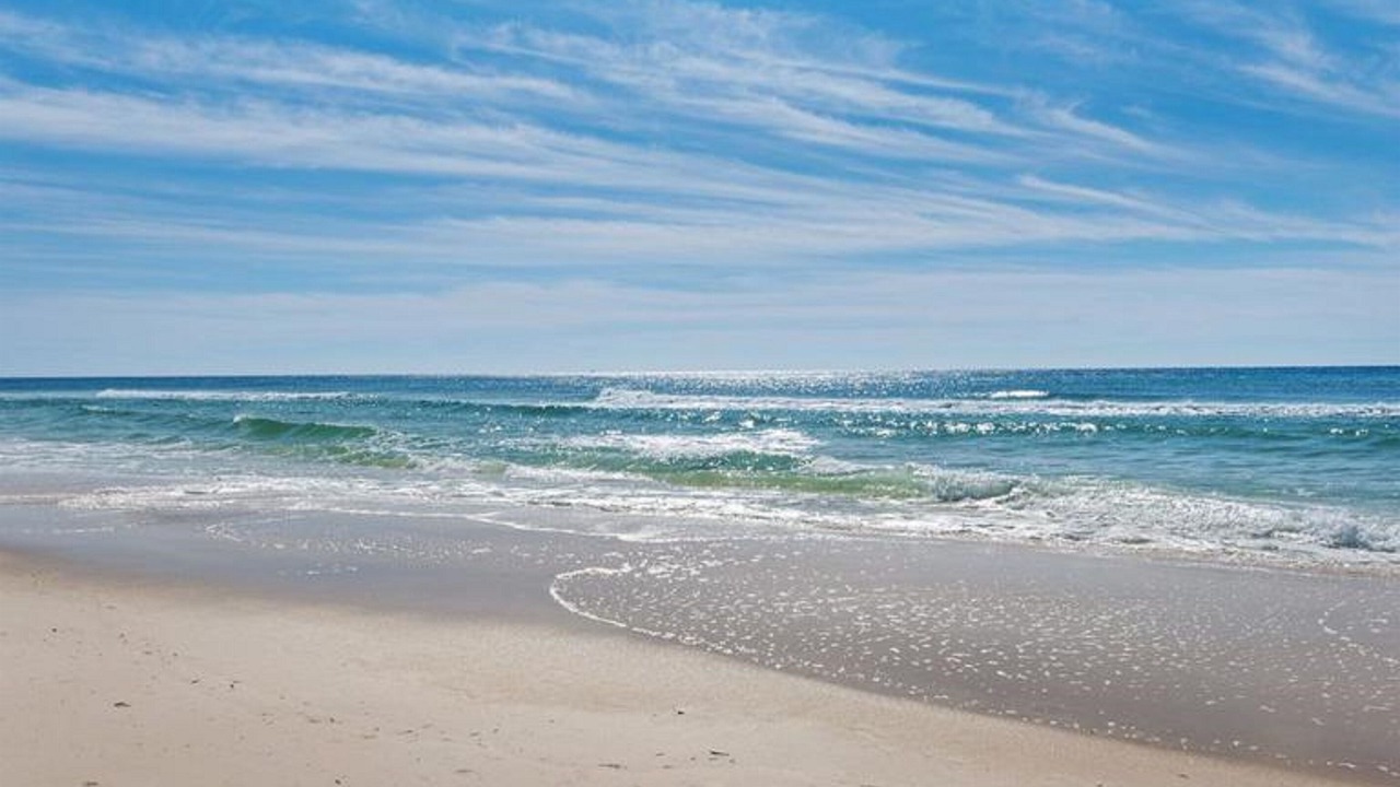 Photo of Others in West Panama City Beach