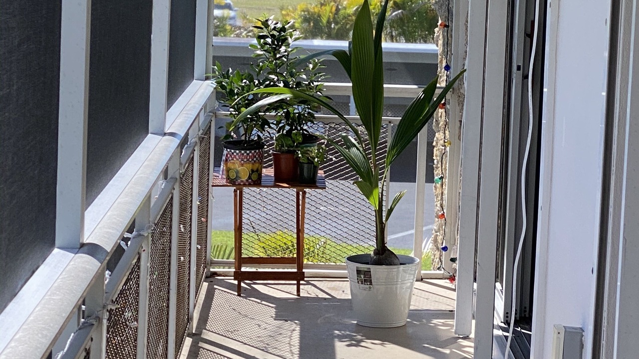 Photo of Outdoor in Isles of Capri