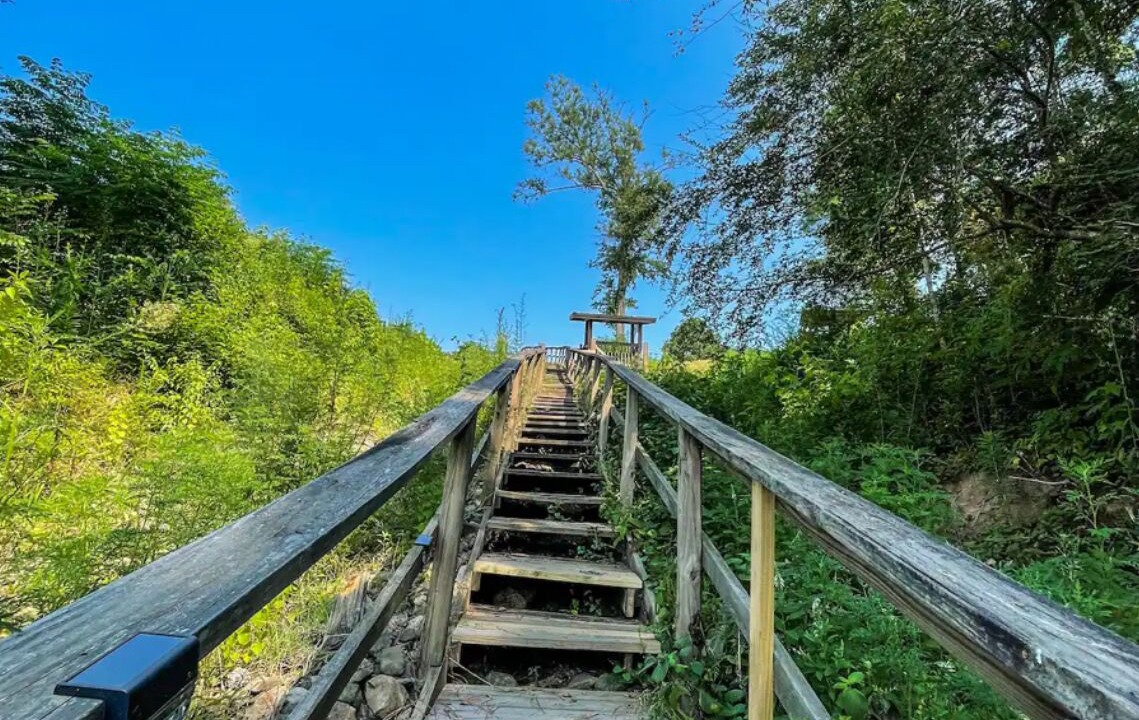 Photo of Outdoor in Milam