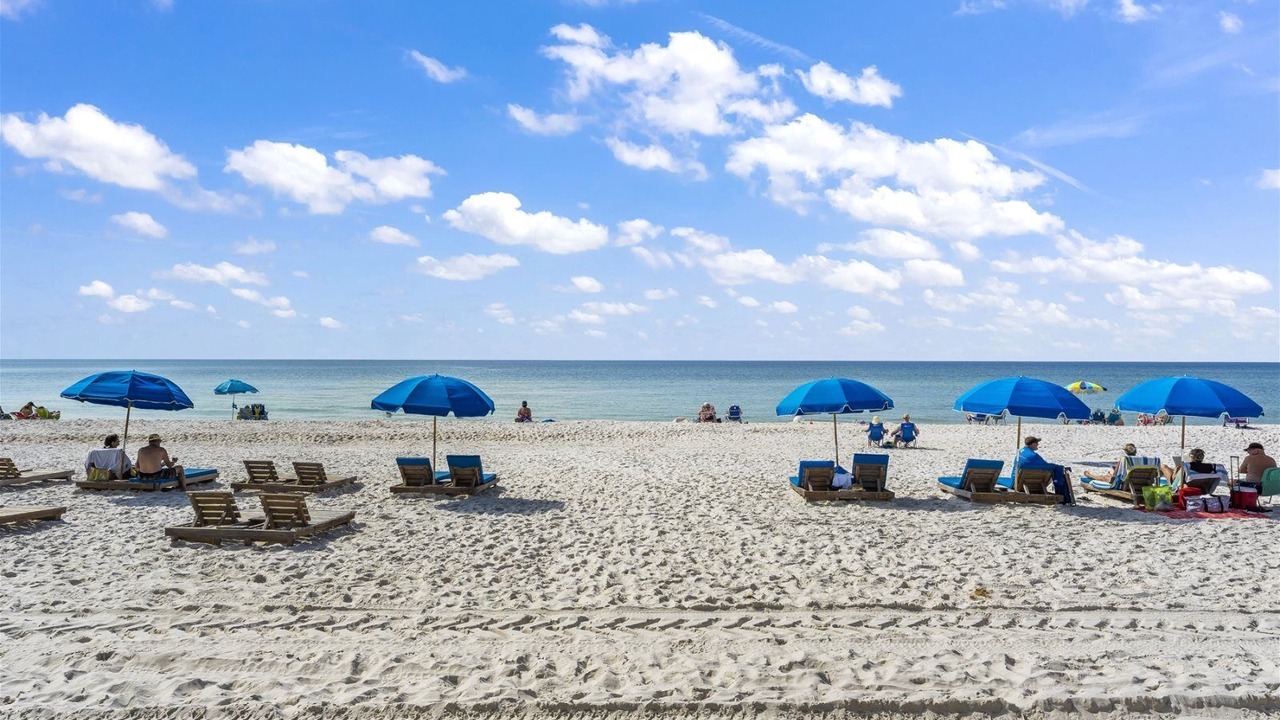 Photo of Others in Panama City Beach
