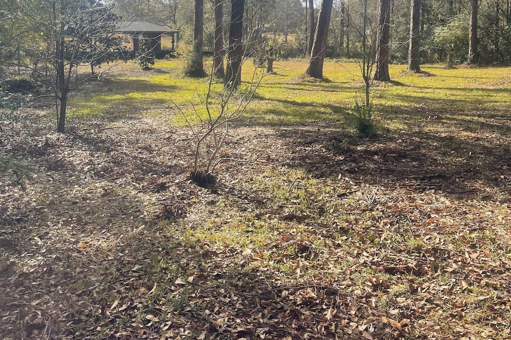 Photo of Outdoor in Gautier
