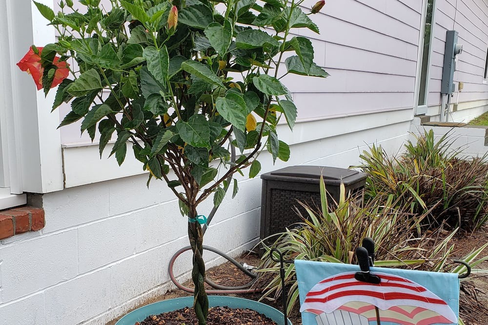Photo of Outdoor in Mississippi City