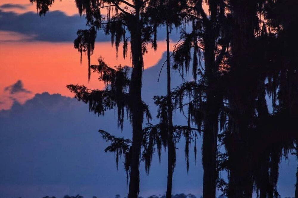 Photo of Others in Mandeville